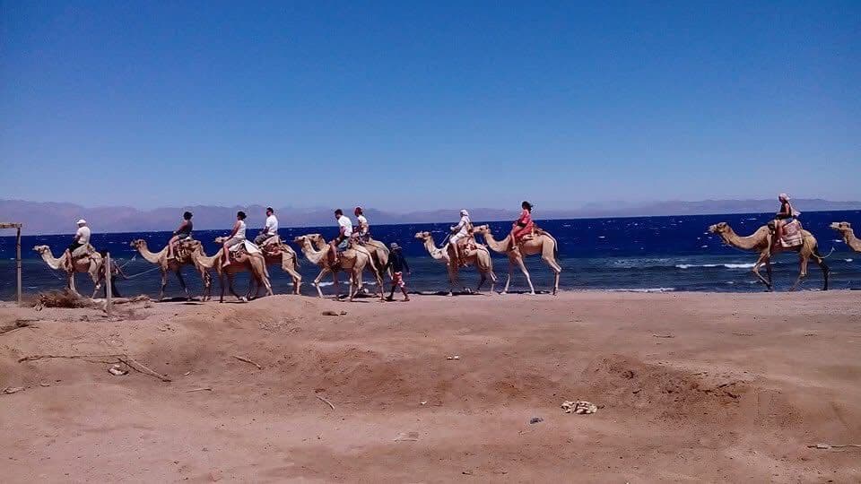 Ras Abu Galum Safari - diving experience in Dahab Egypt