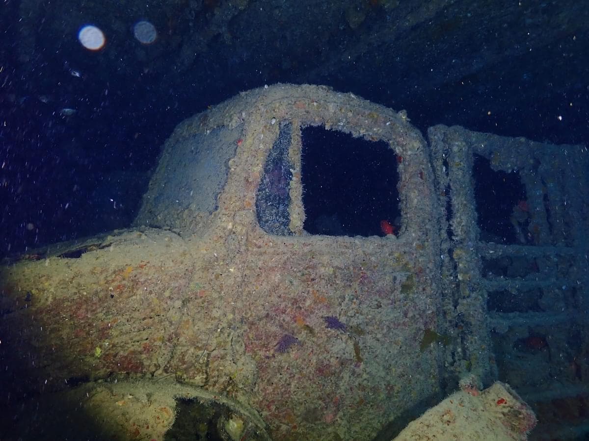 Close-up of a coral-encrusted military truck cab inside the SS Thistlegorm wreck, windows dark, hull covered in marine growth