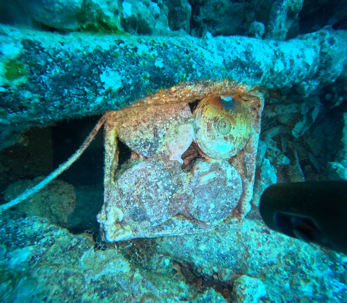 Close-up of coral-encrusted bottles or containers in a metal crate inside the SS Thistlegorm wreck, turquoise marine growth visible