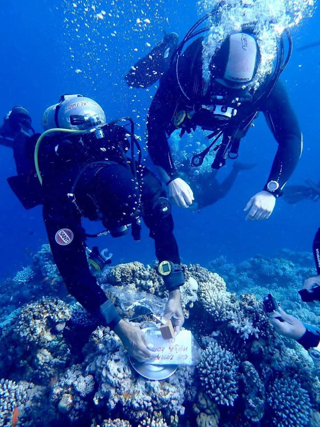 Two divers kneeling at the coral reef as Kuba places the proposal card and ring on the coral, Kasia watching, bubbles rising, another diver filming from the side, deep blue water above
