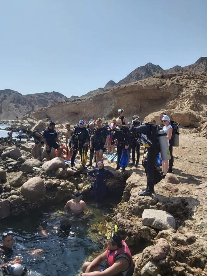 Large group of about 20 divers and snorkelers gathered on rocky shore at a Dahab dive site, some in full gear, some in the water, desert mountains rising behind them