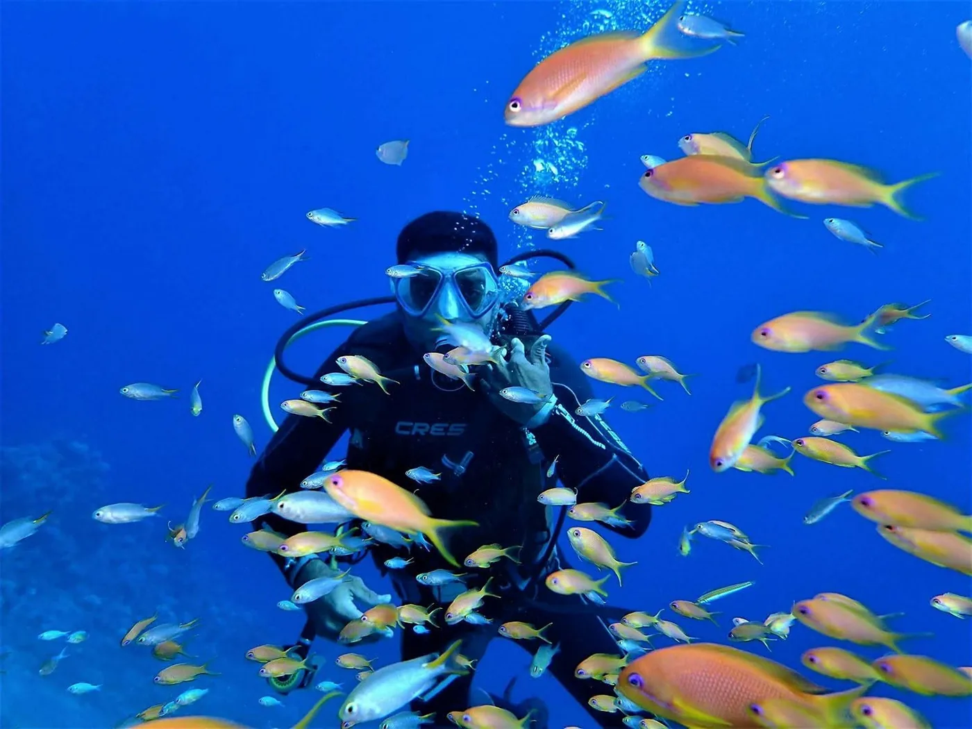 Osama on the reef at Dahab in a cloud of anthias, the small orange fish that hang over the coral all day