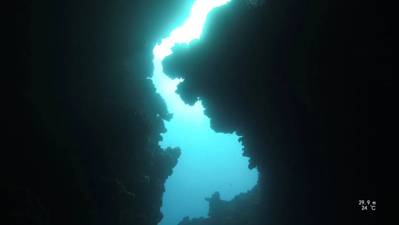 Looking up at a narrow crack of daylight from inside a dark rift in the reef, thirty metres down