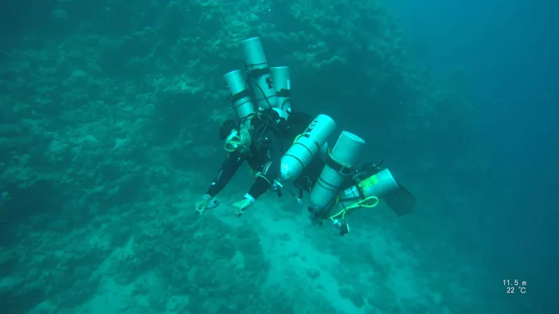 Seven scuba tanks lined up